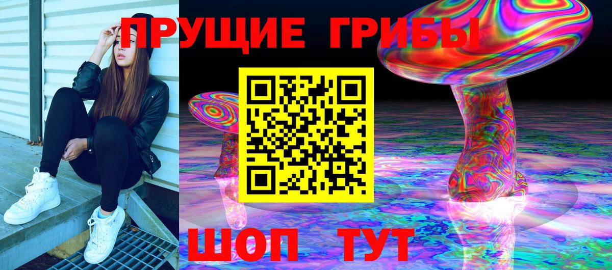 Галлюциногенные грибы Cubensis Майкоп