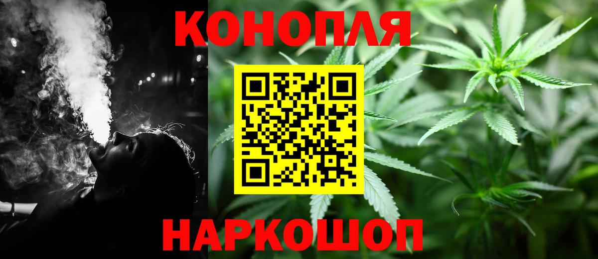Бошки Шишки планчик Майкоп